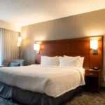 istockphoto-1795754166-612x612